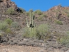 The Inn is nicely landscaped into the hills with saguara cactus and other desert plant varieties on your doorstep.