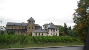Vineyards become more predominate near the Rhine valley 